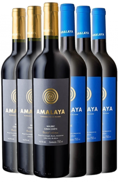 Combo 6 vinhos Amalaya 