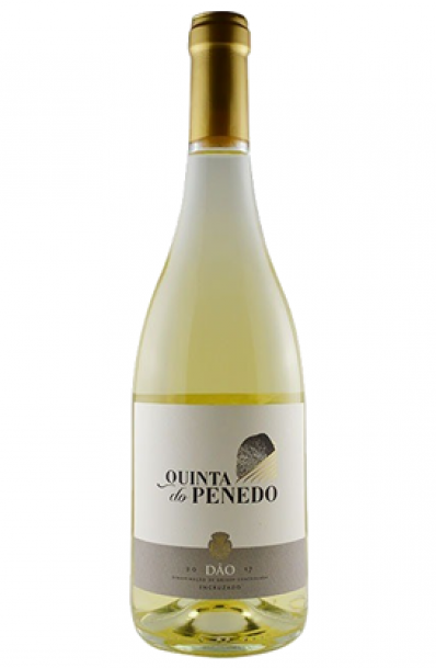 Vinho Quinta do Penedo Branco DOC 750ml
