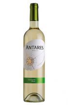 Vinho Antares Sauvignon Blanc (750ml)