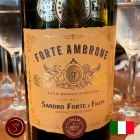 Vinho Tinto Italiano Forte Ambrone Rosso 750ml